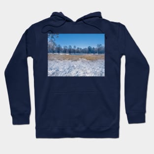 Winter scene Hoodie